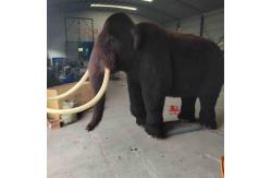 China Size Custom Realistic Animatronic Animals Mammoth Model Adult Age supplier