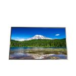 LM238WF2-SSK1 LM238WF2(SS)(K1) LCD Screen 23.8 inch FHD Display New for sale