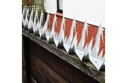 China 1.25m Garden Gate Security Spikes supplier