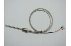 China SS 316 - (Wst 1.4401) Sheathed Pt100 Thermometer with Compensating Cable supplier