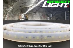 China Waterproof EXIBII 17W/M LED Flexible Strip Lights SMD2835 110V 1630Lum supplier