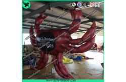 China Inflatable Crab,Inflatable Crab Cartoon,Inflatable Crab Costume supplier
