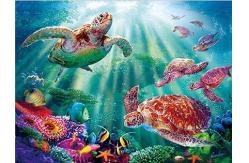 China Sealifes Dolphin Turtle Shark Lenticular 3D Motion Card Souvenir Gift Card supplier