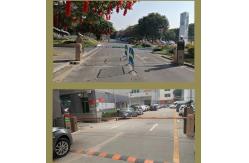 China Advanced Image Processing License Plate Recognition Parking System Car Parking Management System supplier