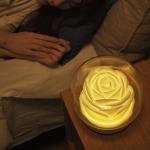 ED Night Light Aroma Oil Diffuser 400ml Humidifier Flower Shape White for sale