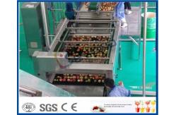 China Peach / Apricot / Plum Fruit Juice Production Line Fruit Processing Machinery supplier
