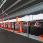 22mm 25mm Poultry Nipple Drinker System Poultry Farm Nipple Drinker for sale