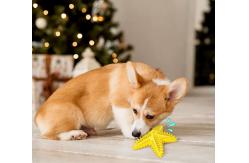 China Pet Starfish Squeaky Toy Teeth Cleaning Bite Resistant Dog Toy supplier