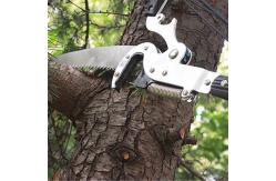 China Telescopic Cordless Pruning Shears Pruner Extension Long Handled Secateurs supplier