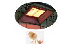 China Natural Gas LPG Poultry Chicken Brooder Heaters Aluminum Poultry House Brooders supplier