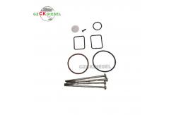 China Unit Injection Pump Repair Kit 6102003-799 for Unit Injection Pump 0414799005  supplier