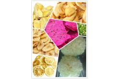 China Low Noise Freeze Drying Machine For Strawberry Cassava Vegetable supplier