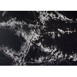 Polished Artificial Quartz Slabs