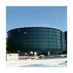 Animal Manure Anaerobic Digester Biogas Production In Bio Gas Plant Project for sale