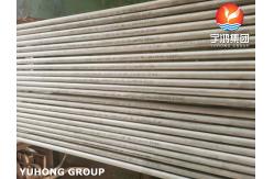 China ASTM A213 TP444 Seamless Heat Exchanger Tubes supplier