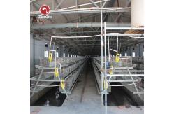 China 3 Tiers Eggs Chicken Cage 410mm Deep Egg Laying Chicken Coop supplier