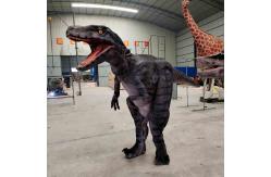 China Adult Simulation T-Rex Realistic Animatronic Dinosaur Costume supplier