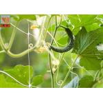 Plastic Climbing Plant Support Netting , Garden Mesh For Climbing Plants for sale