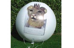 China Inflatable giant balloon for advertising promotion supplier
