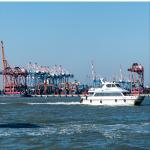 Door To Door International Sea Freight Forwarding DDP From China To Australia for sale