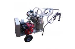 China 50KPa Single Bucket Trolley Milking Machine With Gasoline Engine supplier