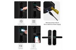 China Biometric Fingerprint Keypad Keyless Door Lock Smart Home Tuya APP Wifi supplier