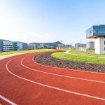 IAAF Epdm Plastic Outdoor Jogging Track Seamless Colorful 13mm for sale