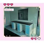 Foldable Lab Caseworks Durable Reagent Racks With Adjustable Glass Shelf In 40*60*100mm Frame for sale