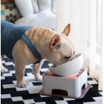 CeramicsTilted Single Food Feeding Bowl for French Bulldogs/Cats for sale