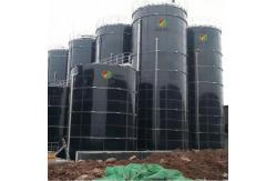 China Biomass And Biogas Energy Biogas Plant For Electricity Generation supplier