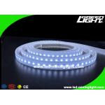 Explosion - Proof Safety Led Flexible Ribbon Strip Lights with 5m 300 Leds 24V IP68 for sale