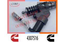 China Diesel  QSM11 ISM11 M11 Engine Fuel Injector 4307516 4061851 supplier
