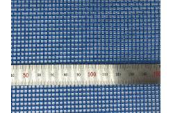 China Plain Weave Polyester Screen Printing Mesh Fabrics 8 Mesh Conveyor Belt Use supplier