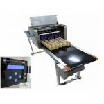 Full Automatic  Egg Continuous Inkjet Printer With 600 DPI Printing Resolution