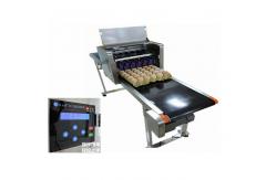 China Full Automatic  Egg Continuous Inkjet Printer With 600 DPI Printing Resolution supplier