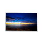 AUO Vertical Stripe 15.6 Inch LCD Panel G156XW01 V2 1366*768 30 Pin Laptop Screen for sale