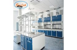 China High Quality Phenolic Resin Worktop Frp industrial Lab Fume Cupboard Manufacturers HK supplier