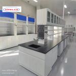 Chemistry Lab Bench As Drawing Number of Holes and Hooks for Efficient Lab Management for sale