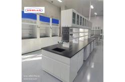 China Safety Function Chemistry Lab Furniture With Export Plywood Package supplier