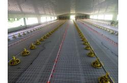 China OEM Broiler Floor System 380V Broiler Flat Raising Whole House System supplier