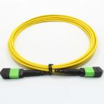 Single Mode 2m MPO Optical Cable 12 Core Bundled 120N for sale