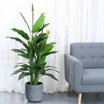 Anti UV Artificial Landscape Trees Paradise Bird Indoor Decor Natural Look Evergreen Plant for sale