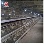 A Type Coop Layer Chicken Cage 430mm Long For Poultry Farm for sale