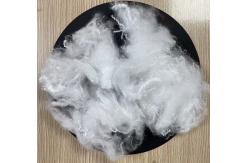 China AA Grade Dyed Polypropylene Staple Fiber 2.2D 40mm White supplier