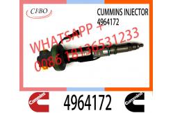 China Diesel injector assembly 2861749 4964170 4964171 4955525 4964172 for QSK19 supplier