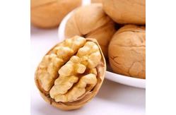 China Chinese Wholesale Yunnan Walnuts With Dark Kernels Prices Raw In Shell Dried Nuts supplier