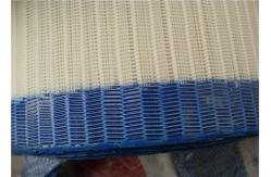 China Large Loop Paper Making Spiral Dryer Screen supplier
