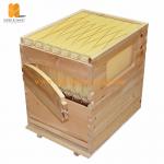 Beekeeping Auto Flow Honey Hive Beehive Frames 7PCs Flow Hive Frame Supplier for sale