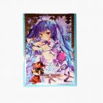 Waterproof PP Clear Plastic Business Card Protectors For Organization And Protection for sale