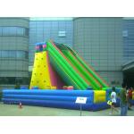 Green Rock Climbing Wall With Slide And Pool , Inflatable Amusement Park for sale
